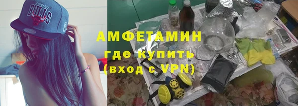 прущие грибы Заволжье