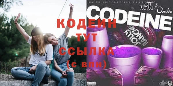 СК Осинники