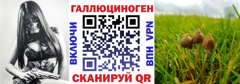 Галлюциногенные грибы прущие грибы  наркотики  кракен   Краснотурьинск 