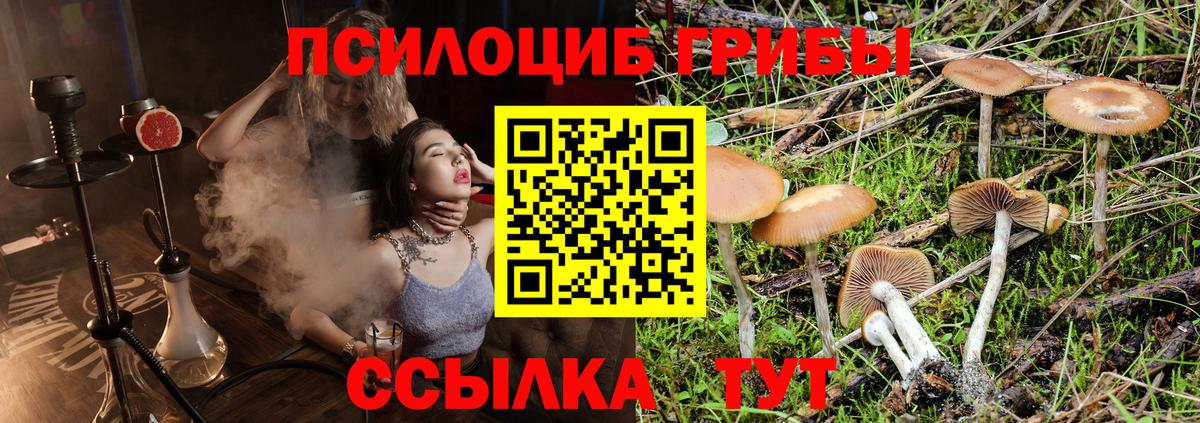 Псилоцибиновые грибы Cubensis  Вход с VPN  Краснотурьинск  Псилоцибиновые грибы Psilocybe 